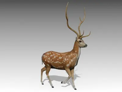 Deer Animated Low-poly 3D model