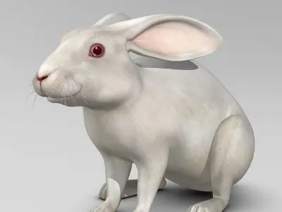 Rabbit - White 3D model