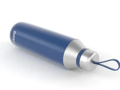 Water Bottle 3D model