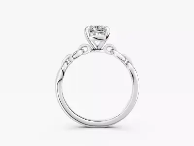 ZABS0015 CUS engagement 3D print model