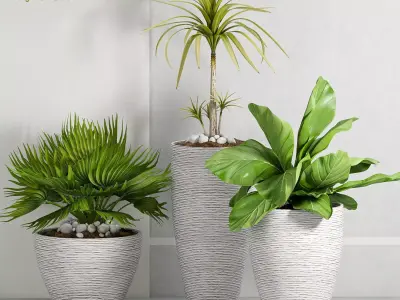 Decorative plant set-28  3D model
