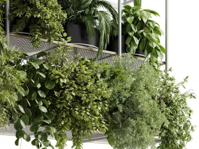 Hanging plants - Rectangle pot - indoor plant set 500 3D model