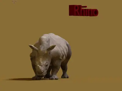rhino 3D model 4