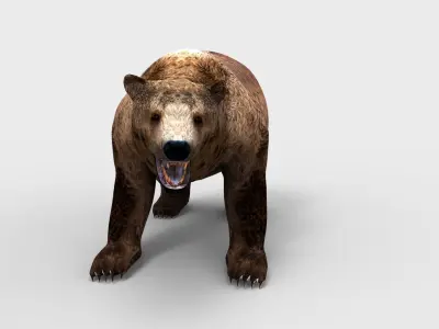 3D Brown Bear Rigged and animated  Low-poly 3D model