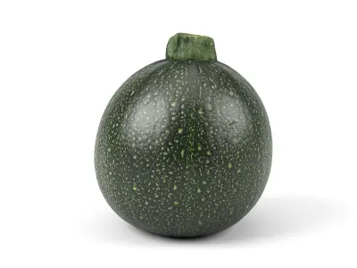 Photorealistic Round Zucchini 3D Scan 3D model