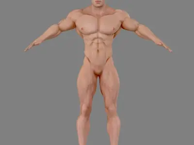 Male Bodybuilder 3D models  with Briefs  Low-poly 3D model