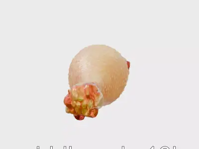 Fried Chicken Drumstick with Crunchy Coating model pack Low-poly 3D model