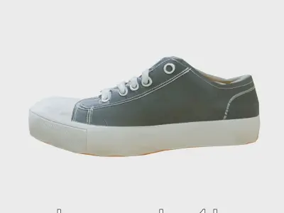 Self-Cleaning Casual Sneaker Model Low-poly 3D model