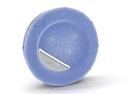 Ornate Silver Plate model pack Low-poly 3D model