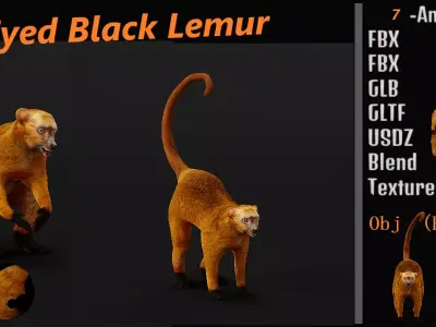 Blue Eyed Black Lemur Low-poly 3D model