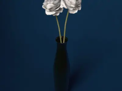 XfrogPlants Buttercup 3D model