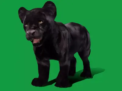Baby Black Jaguar Cub Low-poly 3D model
