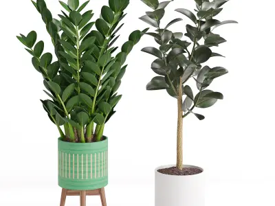 Houseplant 29  3D model