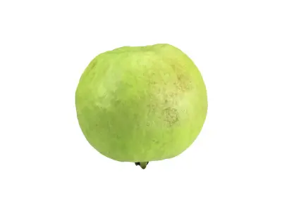 Photorealistic Guava 3D Scan 3D model