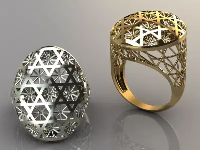 wier ring 3D print model