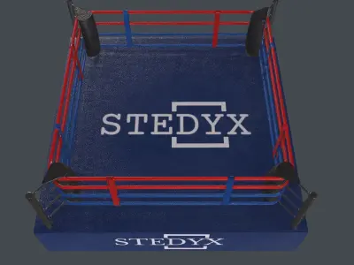 boxing ring 3D model order