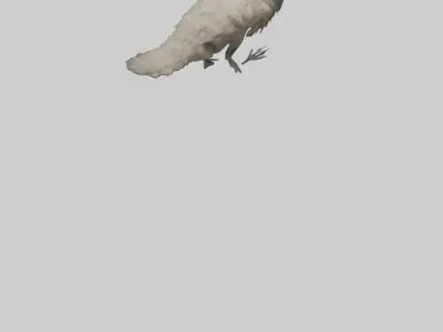Emu running model Low-poly 3D model