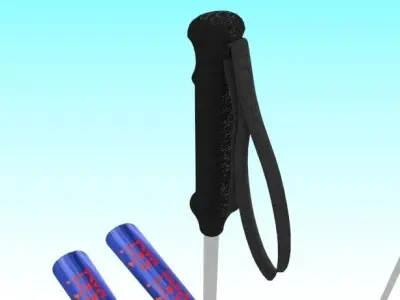 Ski and Ski Pole 3D model