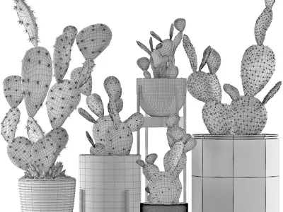 Plants Collection 17 3D model
