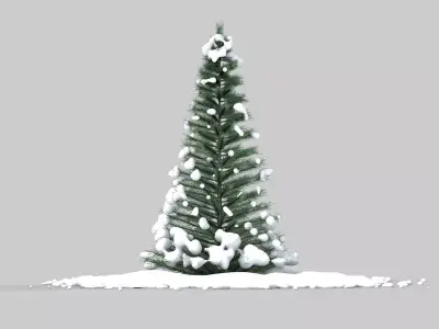 Pine Tree in The Snow 3D model
