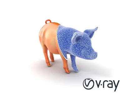 Realistic Pig Model with Pink Body model pack Low-poly 3D model