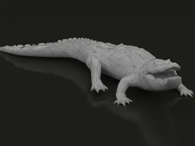 Low Poly Alligator Crocodile Low-poly 3D model