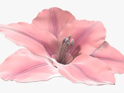 Lily flower artificial  3D model