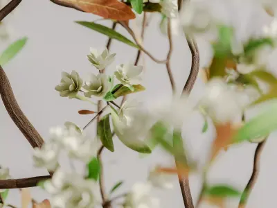 plants bouquet vase 56 3D model