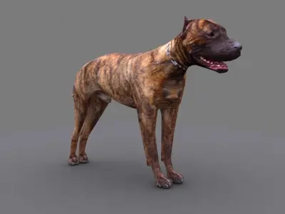 pitbull dog Low-poly 3D model