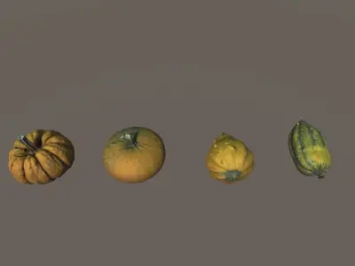 Scanned Pumpkins Low-poly 3D model