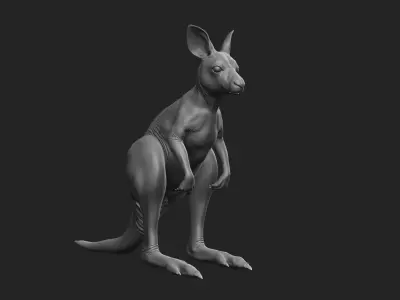 Kangaroo baby 3D model