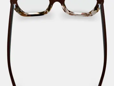 Gabriela Eyeglasses in Ganache Tortoise Fade 3D model