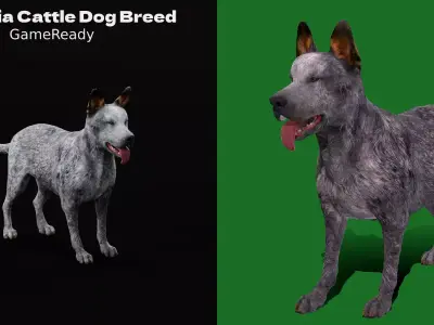 Australian Cattle Dog Breed Low-poly 3D model