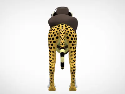 TF2 Scout Cheetah 3D model