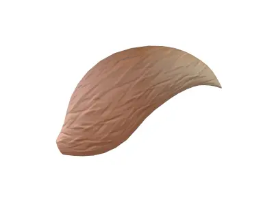 Fox Tail v1 002 Low-poly 3D model