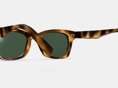 Harris Sunglasses in Oak Barrel 3D model