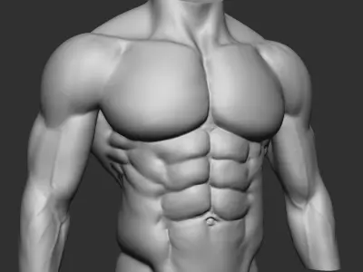fitness bodybuilder  3D print model