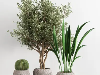 indoor plant stant 42 3D model