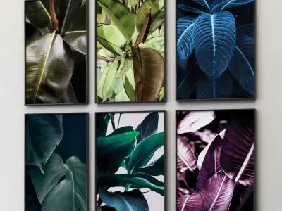 JUNIQE Ficus Poster 3D model