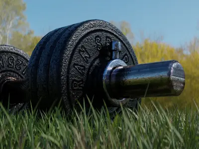 Dumbbell with adjustable weights 3D model