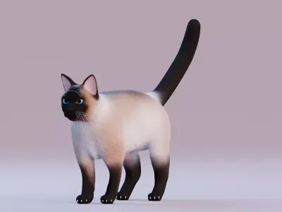 Low poly - Stylized cats - Siamese Cat Low-poly 3D model