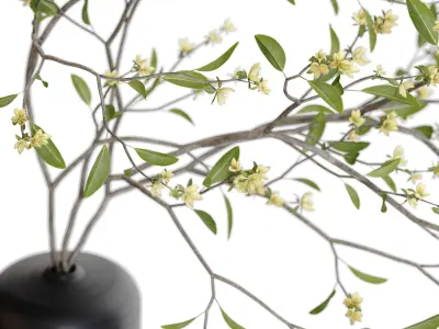 Bouquet 48 3D model