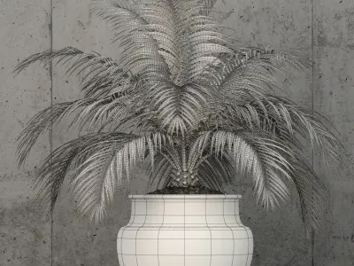 Plants collection 59 3D model