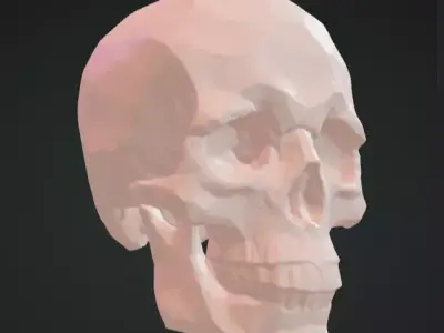 Skull 3D Model Realistic Decorative Sculpture Free 3D print model
