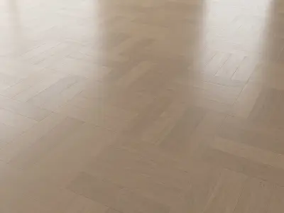 Parquet Oak Canna Brushed set 4 3D model
