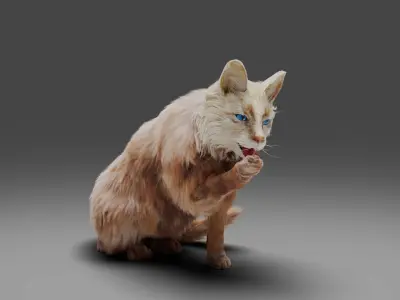 Fur Cat White Rigged in Blender Low-poly 3D model