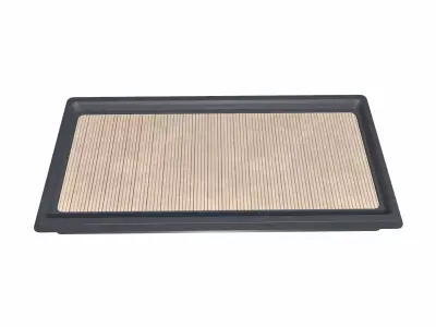 Car Air Filter Low-poly 3D model