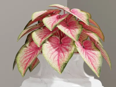 Garden vase 3D model