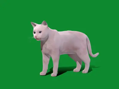 Turkish Angora Cat Low-poly 3D model