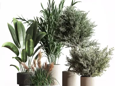 IndoorSetPlant41 two palm plants in pot 3D model